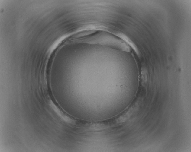 X0000076450972200610202331