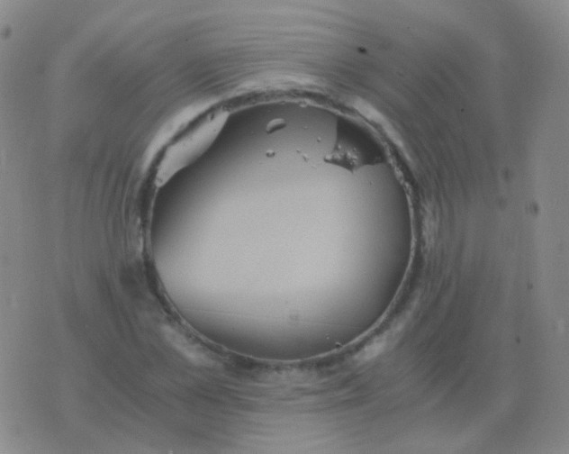 X0000076450973200610202331