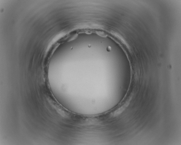 X0000076450974200610202330