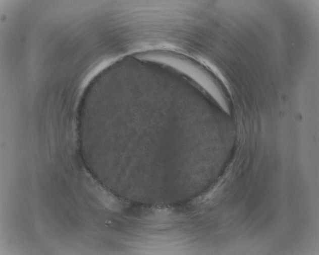 X0000076450975200610202330