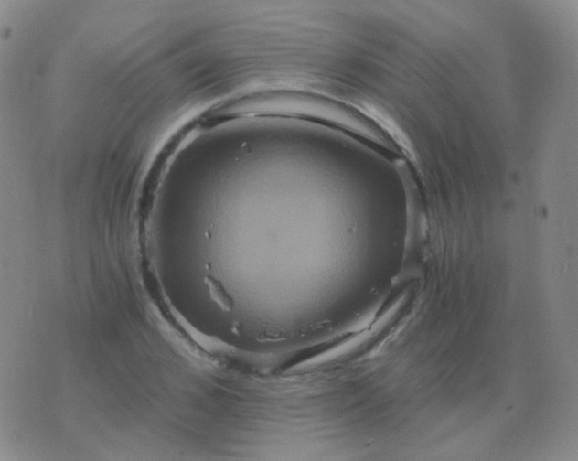 X0000076450976200610202330