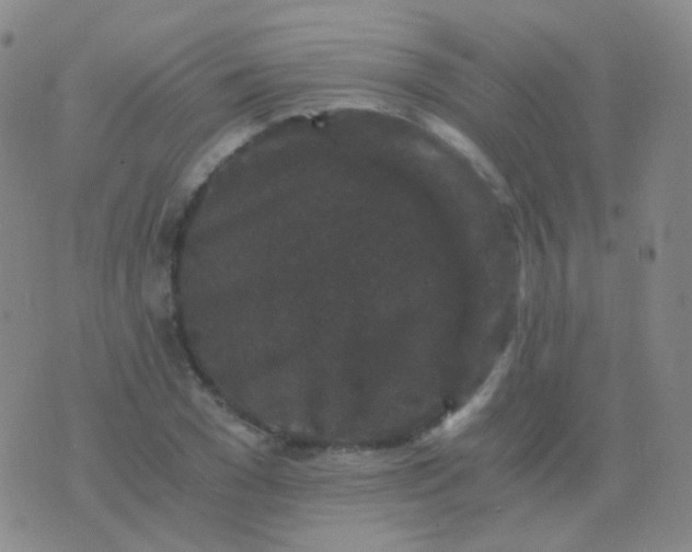 X0000076450977200610202330