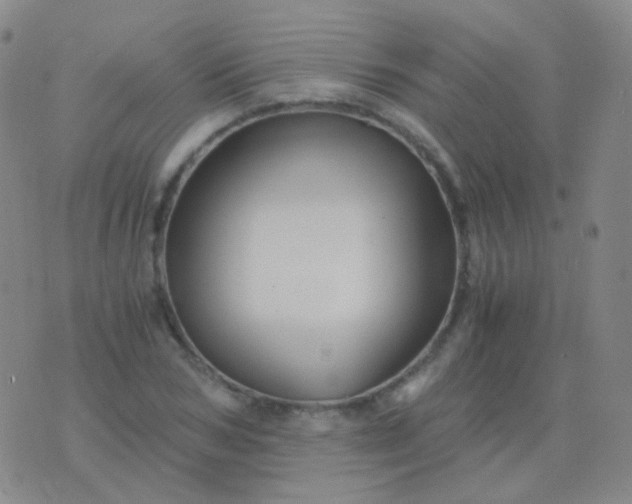 X0000076450978200610202330