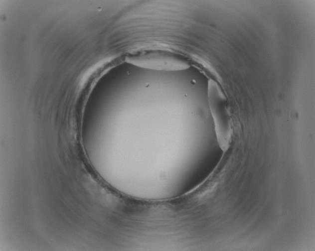 X0000076450979200610202330