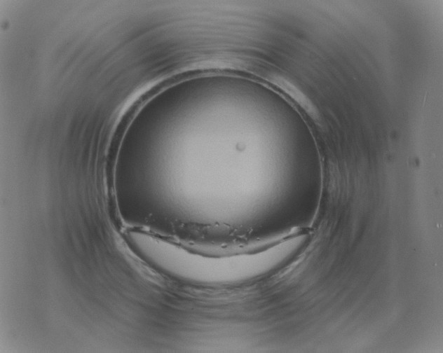 X0000076450980200610202330