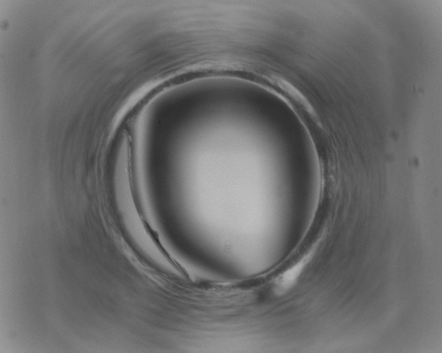 X0000076450981200610202330