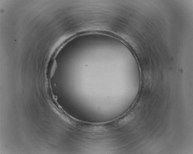 X0000076450982200610202330