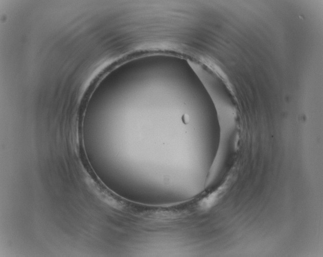 X0000076450984200610202330