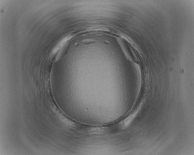 X0000076450985200610202330