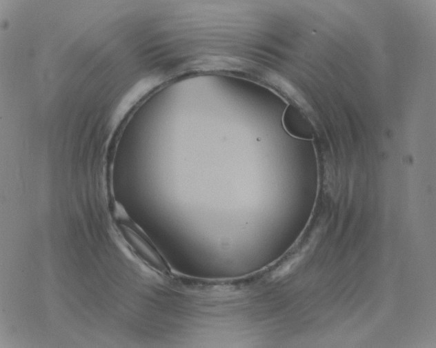 X0000076450986200610202330