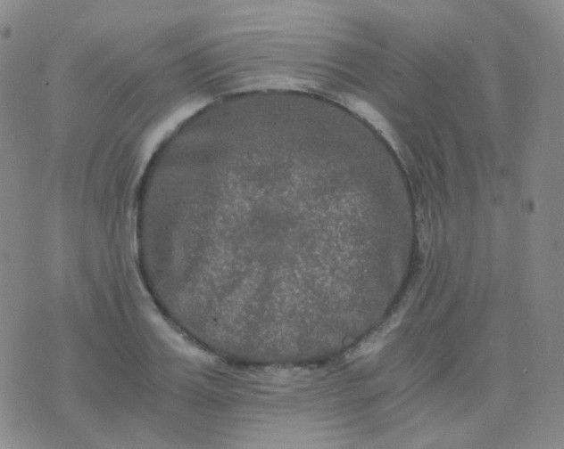 X0000076450987200610202330