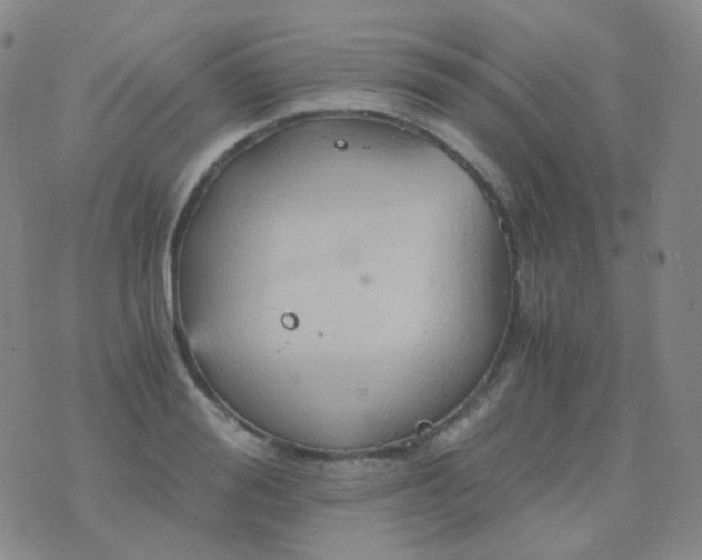 X0000076450988200610202330