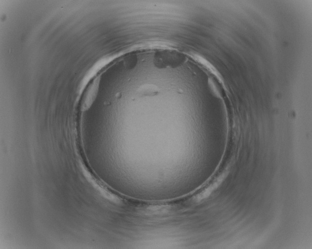 X0000076450989200610202330