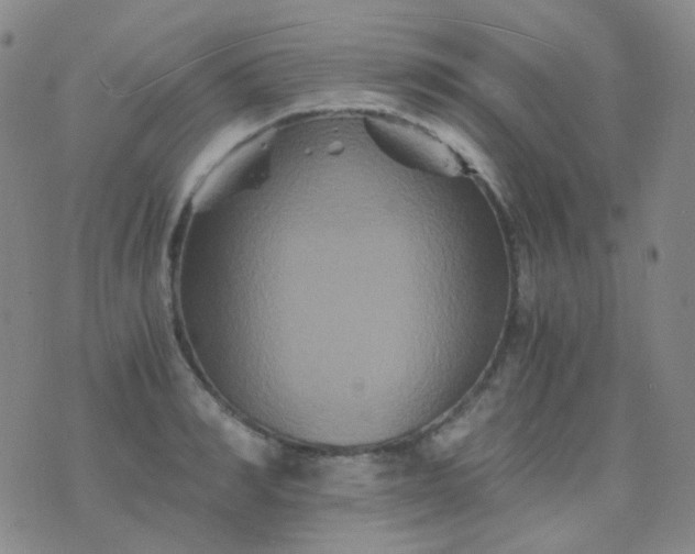 X0000076450990200610202330