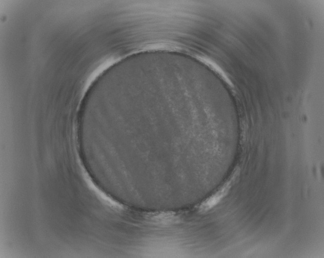 X0000076450991200610202330