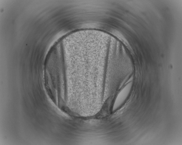 X0000076450992200610202330