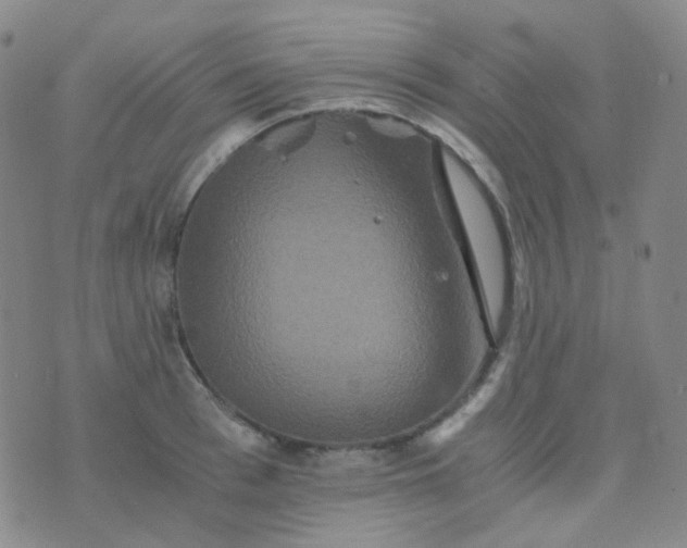 X0000076450993200610202330