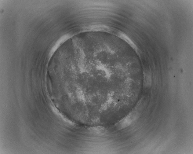 X0000076450994200610202330