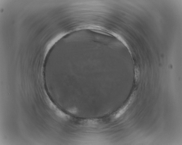 X0000076450995200610202330