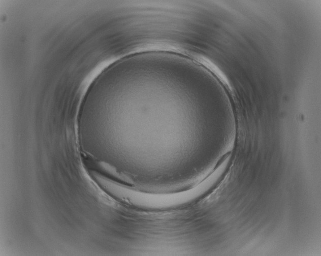 X0000076450996200610202330