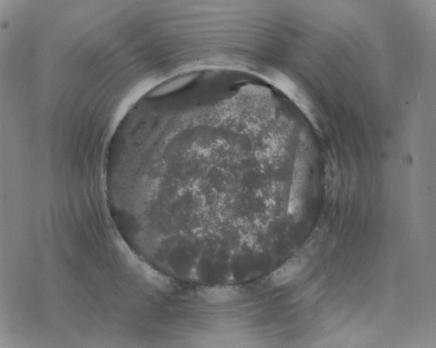 X0000076450998200610202330