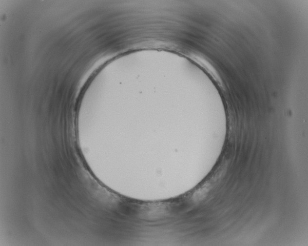 X0000076451000200610202330