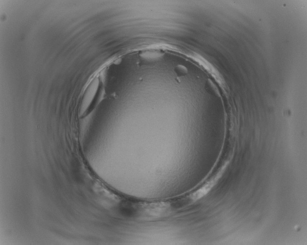 X0000076451001200610202330