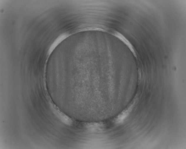 X0000076451002200610202330