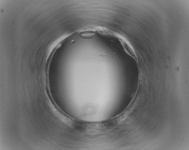 X0000076451003200610202330