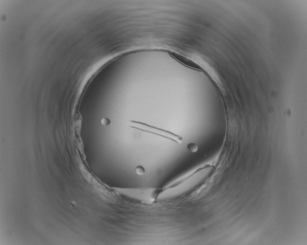 X0000076451004200610202330