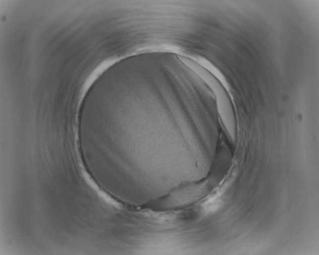 X0000076451005200610202330