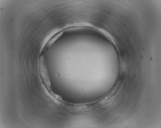 X0000076451006200610202330