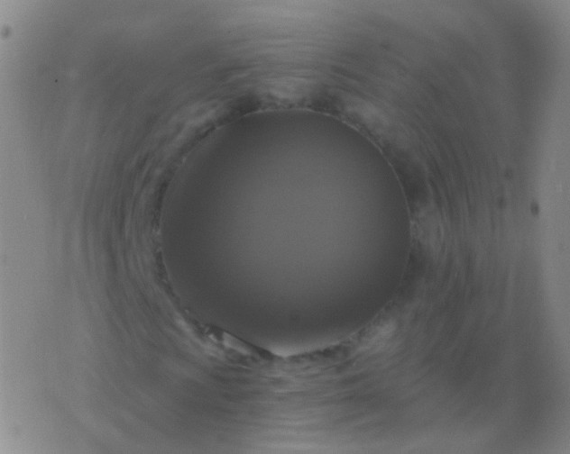 X0000076451009200610202329