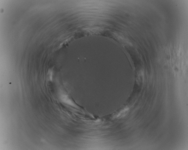 X0000076451010200610202329