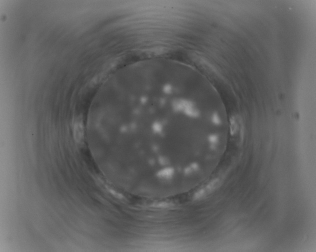 X0000076451011200610202329