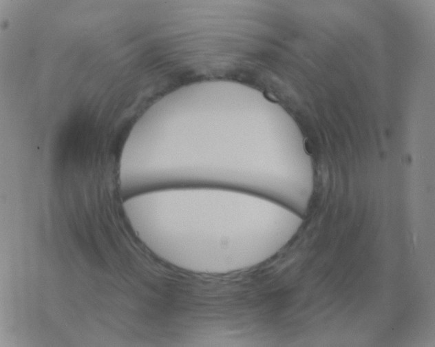 X0000076451012200610202329