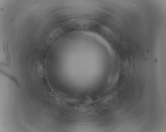 X0000076451013200610202329