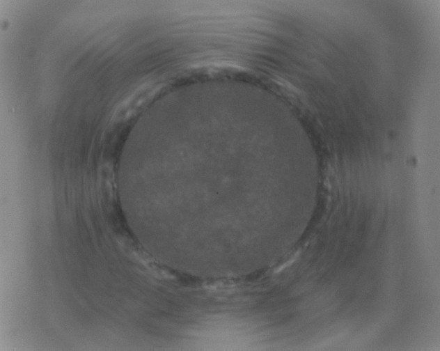 X0000076451014200610202329