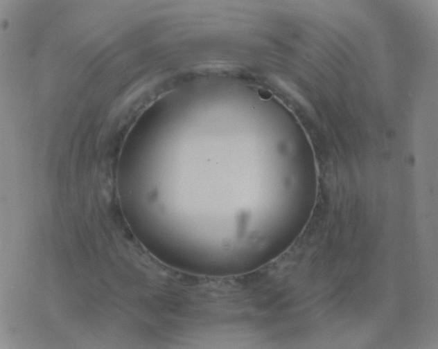 X0000076451015200610202329