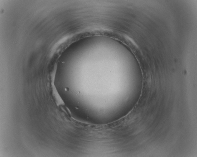 X0000076451016200610202329