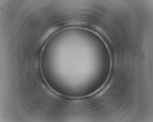 X0000076451017200610202329