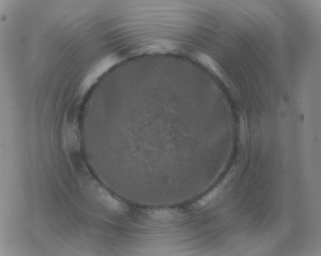 X0000076451018200610202329