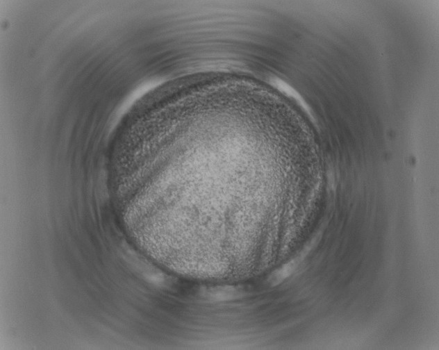 X0000076451019200610202329