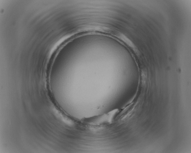 X0000076451020200610202329