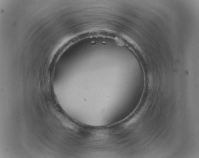 X0000076451021200610202329