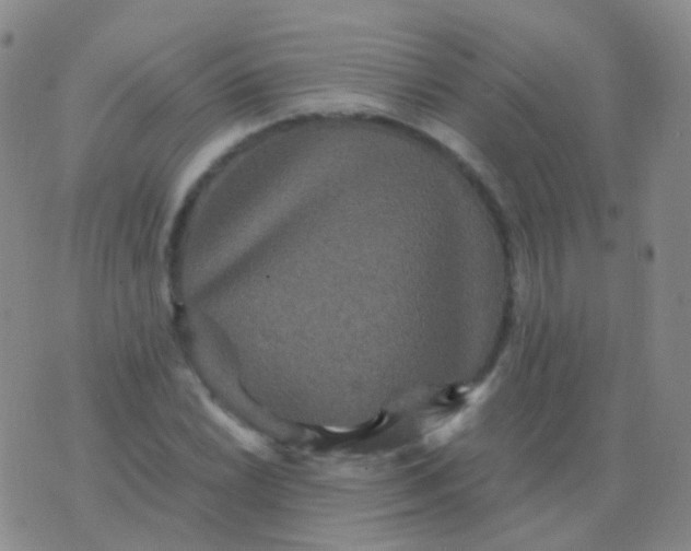 X0000076451022200610202329