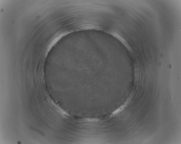 X0000076451023200610202329