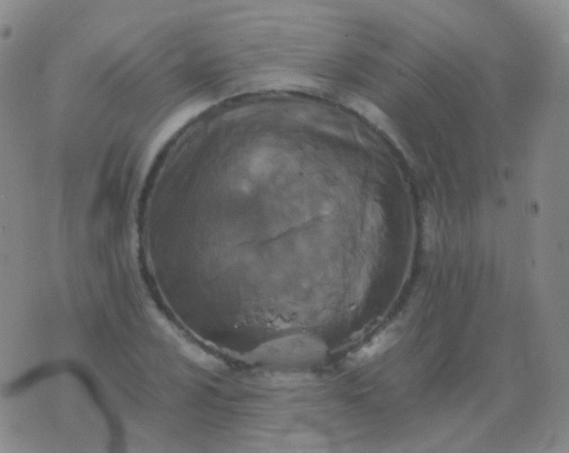 X0000076451024200610202329