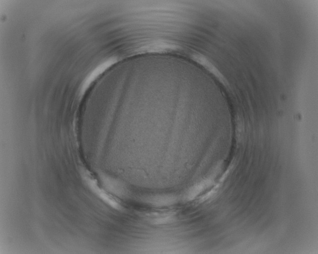 X0000076451026200610202329