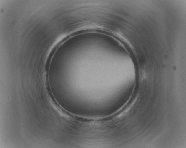 X0000076451029200610202329